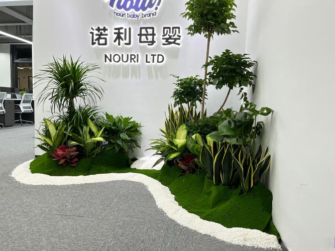 感谢选择!#绿植租赁##绿植#植物超话#造景