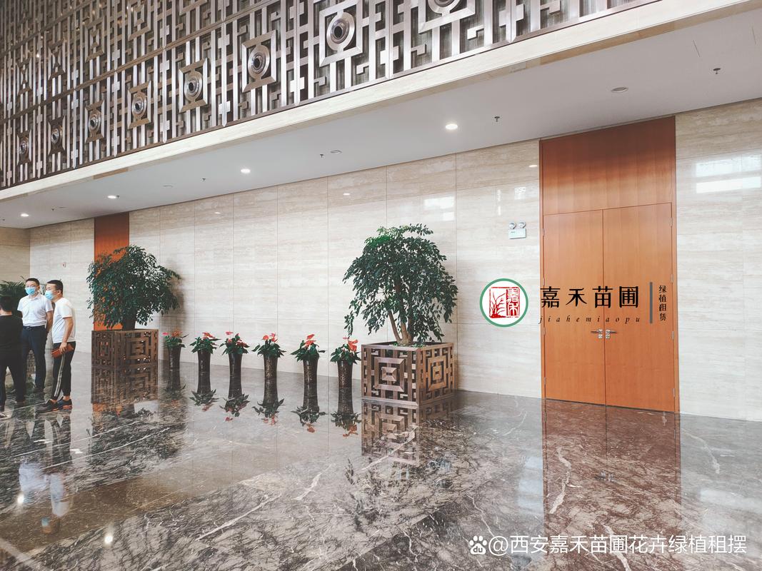 西安花卉租摆,绿植租赁公司,推荐西安嘉禾苗圃公司!