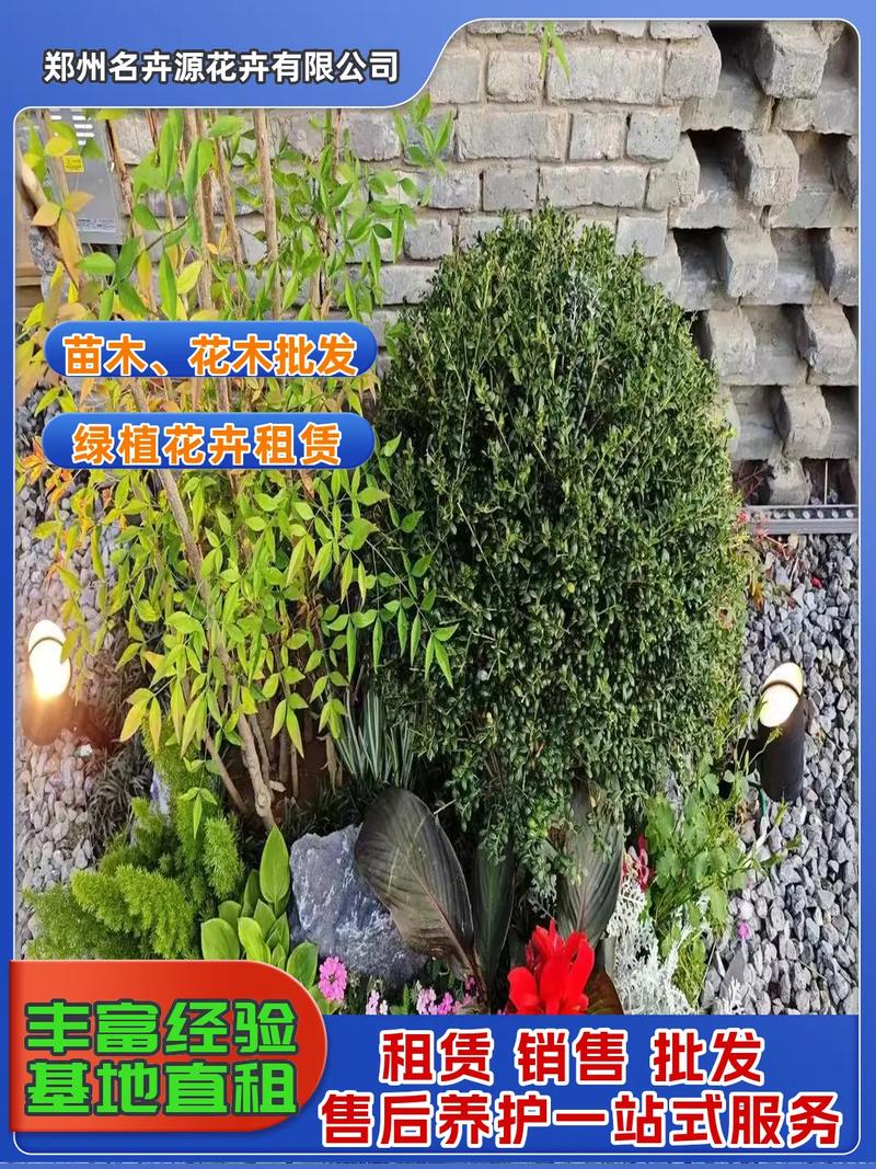 园林景观,苗木,花木批发,绿植花卉租赁.景观升级秘籍在此!园